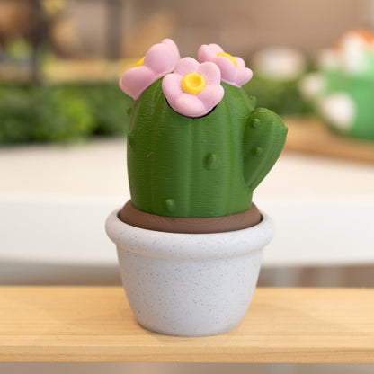 Boîte cactus 3D pot blanc vert foncé et fleurs roses