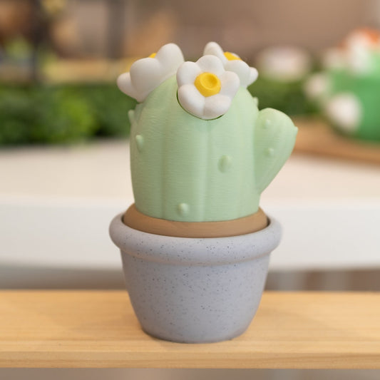 Boîte cactus 3D pot blanc vert pastel fleurs blanches