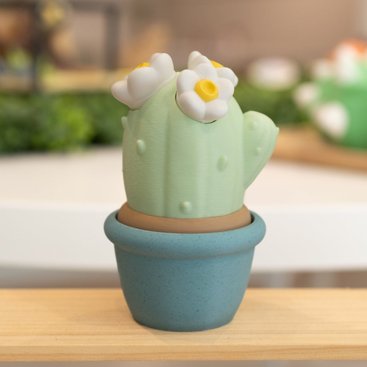 Boîte cactus 3D pot bleu vert pastel, fleurs blanches