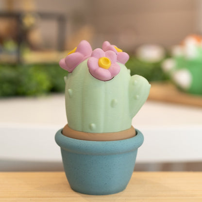 Boîte cactus 3D pot bleu vert pastel, fleurs roses