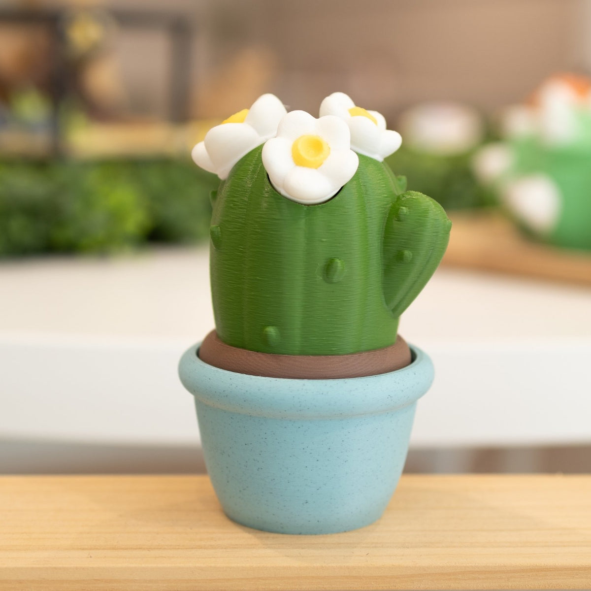 Boîte cactus 3D pot bleu vert foncé, fleurs blanches