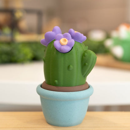 Boîte cactus 3D pot bleu vert foncé, fleurs mauve