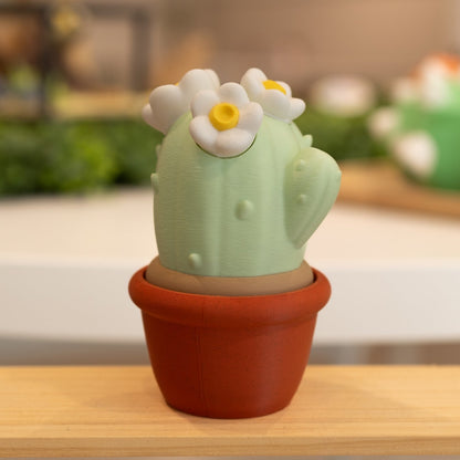 Boîte cactus 3D pot brique, vert clair et fleurs blanches