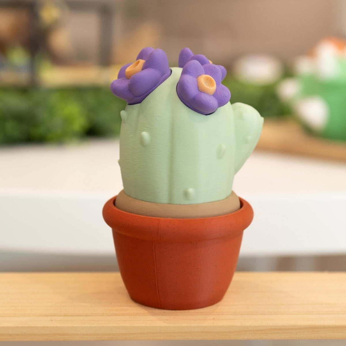 Boîte cactus 3D pot brique vert pastel fleurs mauves
