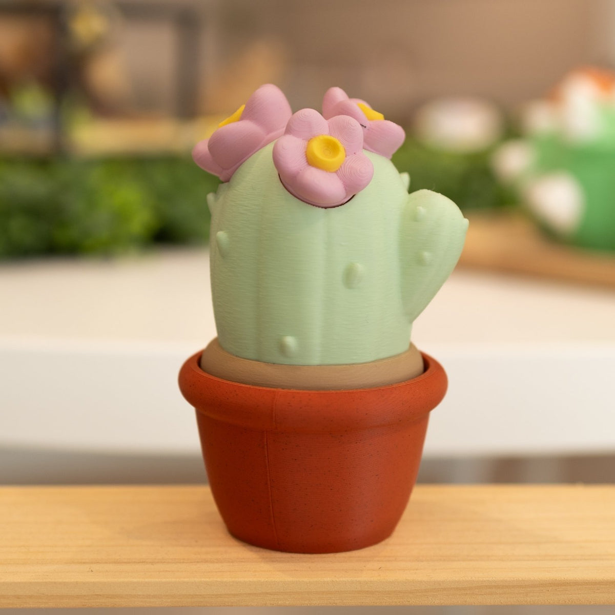 Boîte cactus 3D pot brique vert clair et fleurs roses