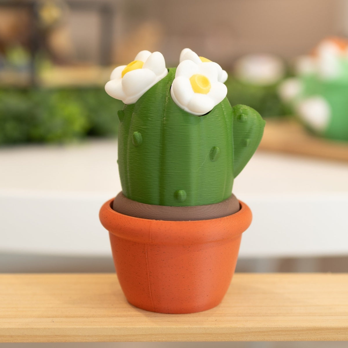 Boîte cactus 3D pot brique vert foncé et fleurs blanches