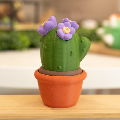 Boîte cactus 3D pot brique vert foncé et fleurs mauves