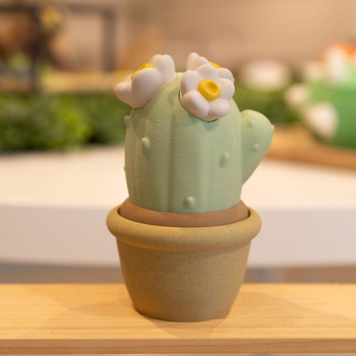Boîte cactus 3D pot sable vert clair et fleurs roses