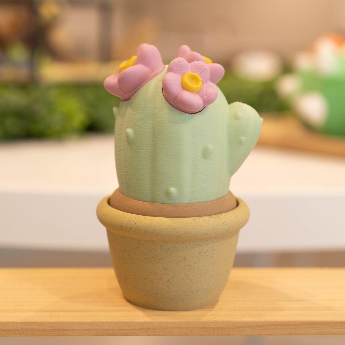 Boîte cactus 3D pot sable, vert pastel et fleurs roses 