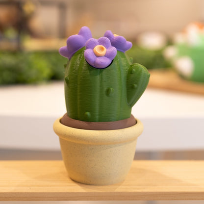 Boîte cactus 3D pot sable, vert foncé et fleurs mauves