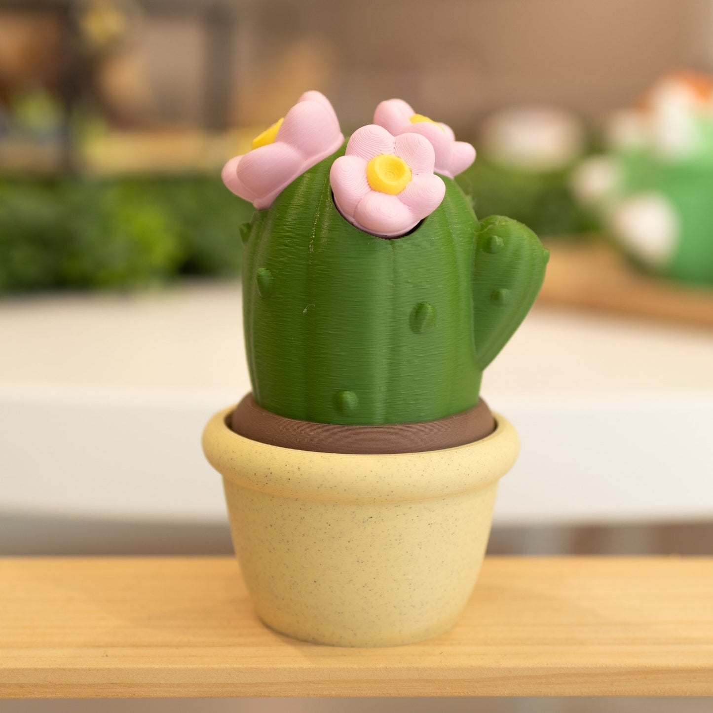 Boîte cactus 3D pot sable vert foncé et fleurs roses