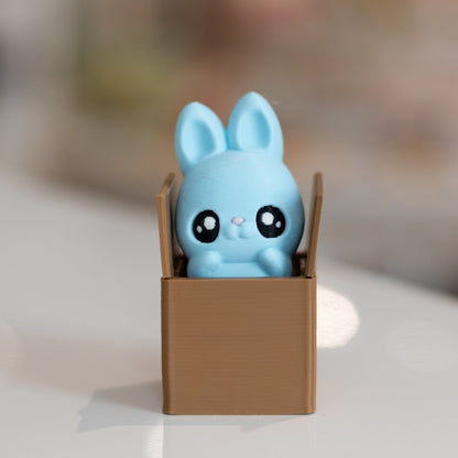 Clicker fidget TDAH lapin dans carton kawaii imprimée en 3D à Cognac