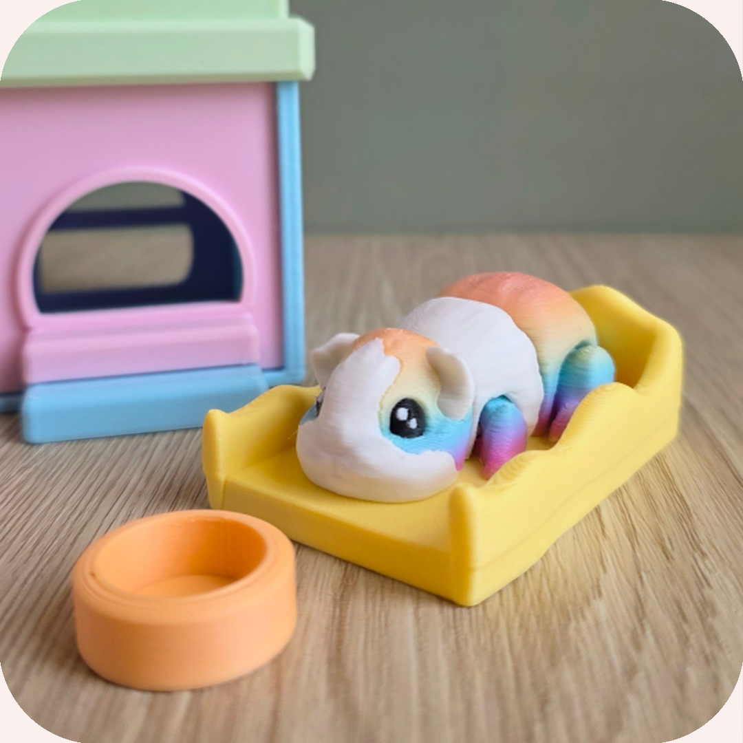 Cochon d'inde 3D et sa maisonnette kawaii