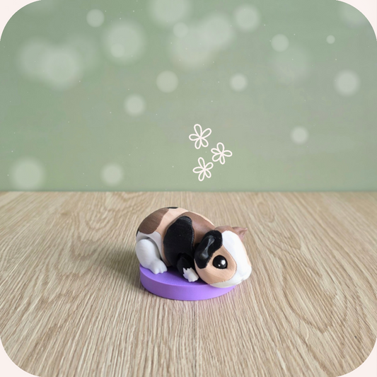 Figurine articulée cochon d'inde kawaii 3D