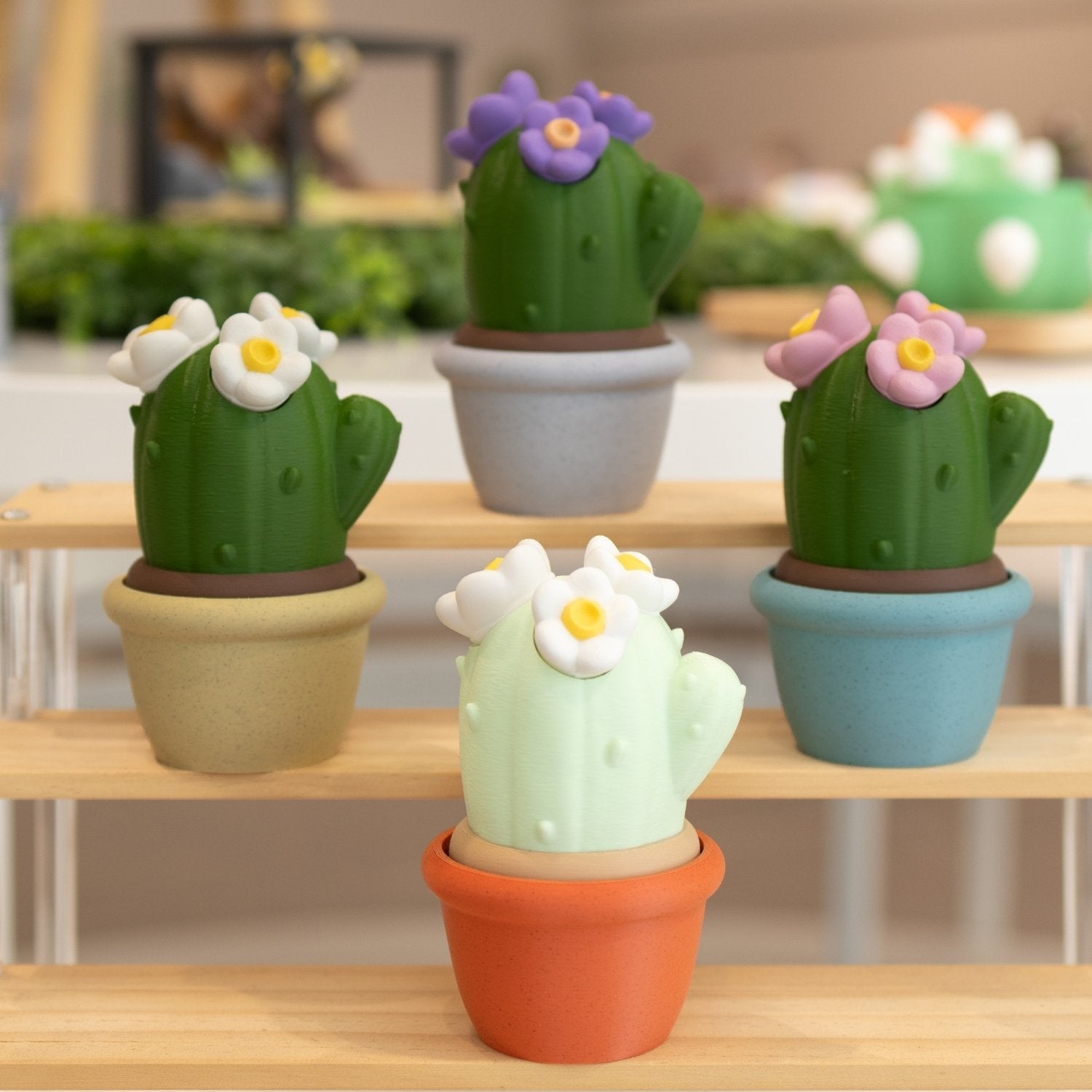 Boîte pot cactus 3D kawaii