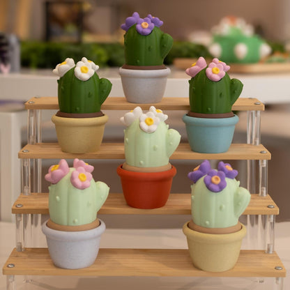 Boîte de rangement pot cactus kawaii. Imprimé en 3D à Cognac. 