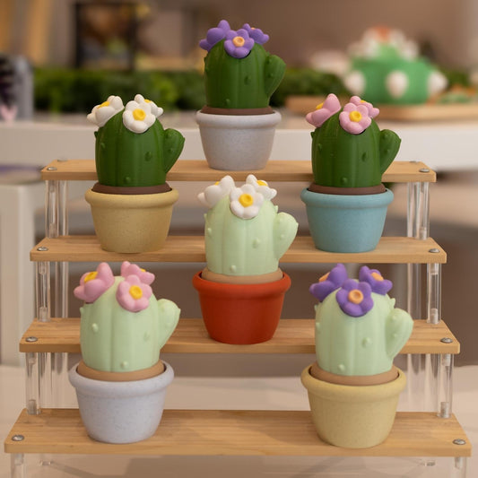 Boîte de rangement pot cactus kawaii. Imprimé en 3D à Cognac. 