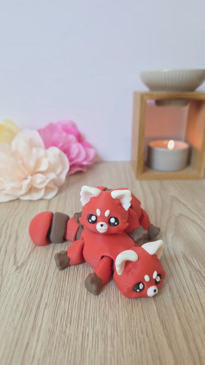 Panda roux rescapé