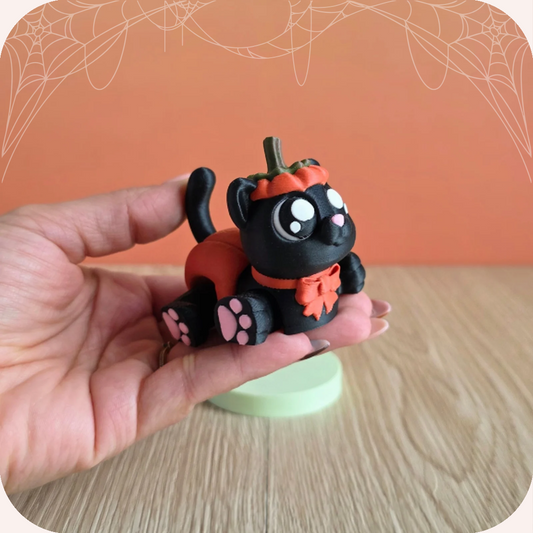 Chat d’Halloween 🎃 | Mignonnerie Ohana Dream 🐱