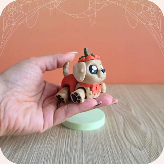 Chien d’Halloween 🎃 | Mignonnerie Ohana Dream