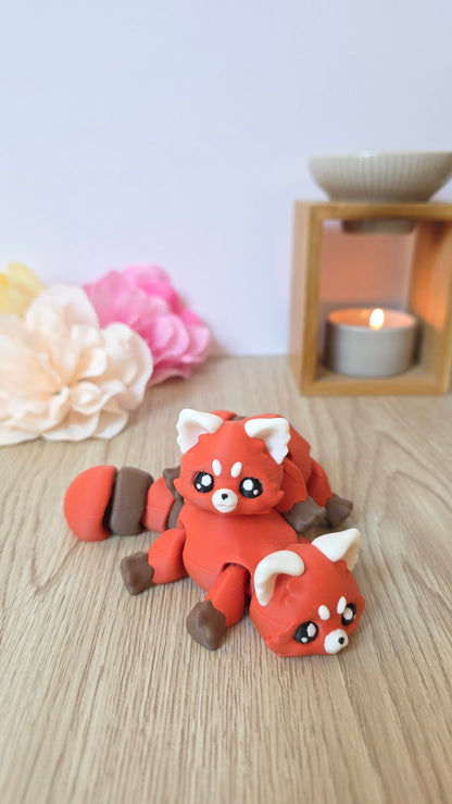 Panda roux rescapé - Ohana Dream